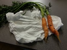 Freshly picked carrots